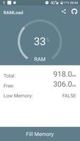 RAM Test (Fill RAM Test Check) Affiche