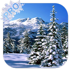 Winter Pro Live Wallpaper आइकन