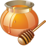 Продукты пчеловодства biểu tượng