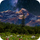 Mountain Flowers Pro APK