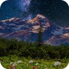 Mountain Flowers Pro أيقونة