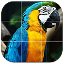 لعبة رتب الصور APK