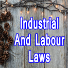 Industrial And Labor Laws Complete Reference icône