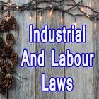 Industrial And Labor Laws Complete Reference simgesi