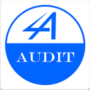 APK 4A Audit