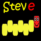 Steve icône