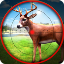 Cerf Chasser Animaux Sniper Safari Chasseur APK