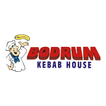 Bodrum Kebab House NE64
