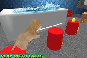 The Floor is Lava : Cute Puppy Mania Screenshot 3