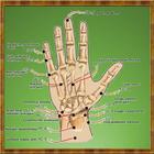 Acupuncture points simgesi