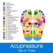 Acupuncture - Acupressure Basics