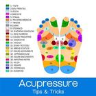 Acupuncture - Acupressure Basics simgesi