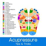 Acupuncture - Acupressure Basics icône