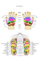 Acupuncture - Acupressure Basics скриншот 2