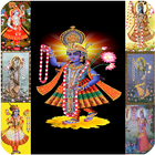 ikon Shri Yamunaji ke 41 Pad