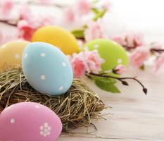 Easter HD Wallpaper ảnh chụp màn hình 1