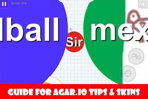 Guide for Agar.io Tips & Skins اسکرین شاٹ 2