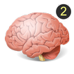 Tes IQ 2 : Asah Otak (Kuis Cerdas Cermat)