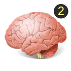 Tes IQ 2 : Asah Otak (Kuis Cerdas Cermat) icône