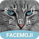 Blue Eyes Cat Keyboard Theme for Whatsapp APK