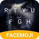 Fluffy Cat Keyboard Theme for Snapchat APK