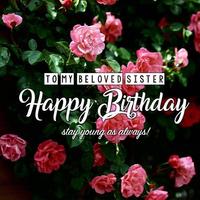 Happy Birthday Wishes HD Cartaz