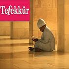 Tefekkür আইকন