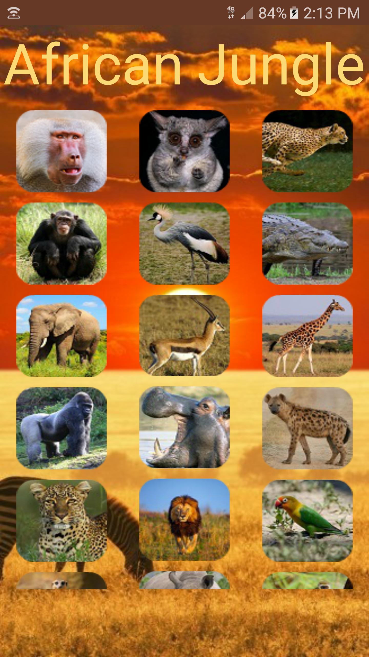 Animal Sounds: African Jungle APK for Android Download