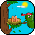 Chick And Worm