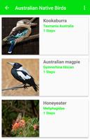 Australian Native Birds ポスター