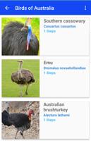 Birds of Australia Affiche