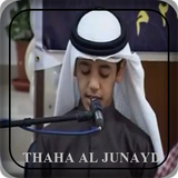 Murotal Thaha AlJunayd Offline icône