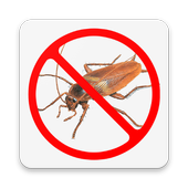 Anti Cockroach Repellent Prank icon