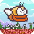 Crazy Bird Crush
