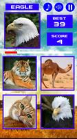 Animal Quiz Affiche