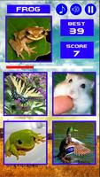 Animal Quiz captura de pantalla 1