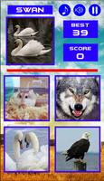 Animal Quiz captura de pantalla 2