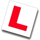 Andy W Driving Instructor APK