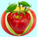 Fruit Link Challenge APK