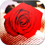 قصص حب عربية بدون انترنت