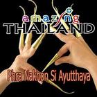 amazing thailand  Ayutthaya icône
