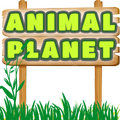 Animal Planet