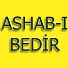 Ashabi Bedir 圖標