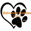 Salvando Huellas Chiapas