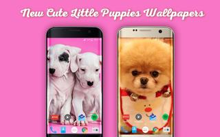 New Cute Little Puppies Wallpapers HD โปสเตอร์