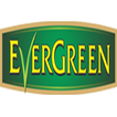 Evergreen Tea