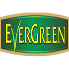 Evergreen Tea icon