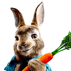 Pệter Rabbit Wallpaper HD icône