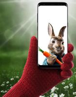 Pệter Rabbit Wallpaper HD スクリーンショット 1