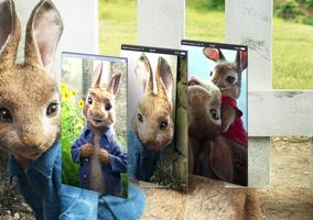 Pệter Rabbit Wallpaper HD スクリーンショット 2